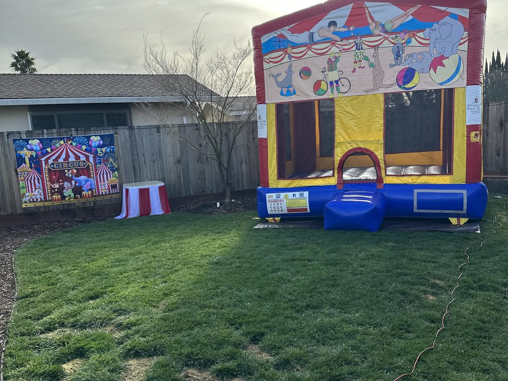 Standard 13x13 bounce house with a circus themed banner, set up on grass with a matching circus backdrop